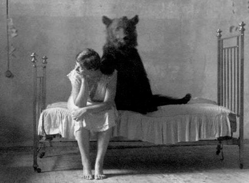 Bear on the Bed - Daveidaho