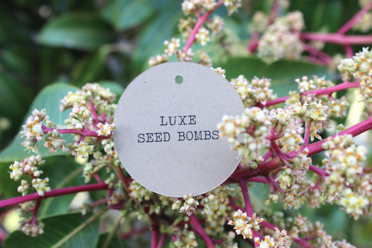 Wedding Escort Place Cards Customized - Set of 100 - Large - Kraft Brown - 2 inch Circle Il_570xn