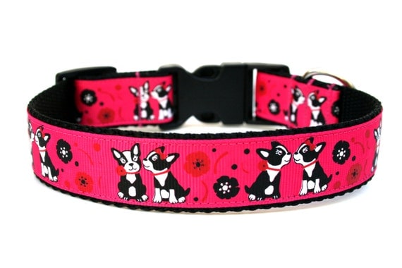 Terrier Dog Collar 1 Boston Terrier Dog Collar by Wagologie