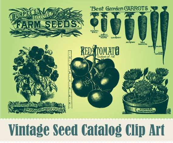 vintage garden clip art - photo #24
