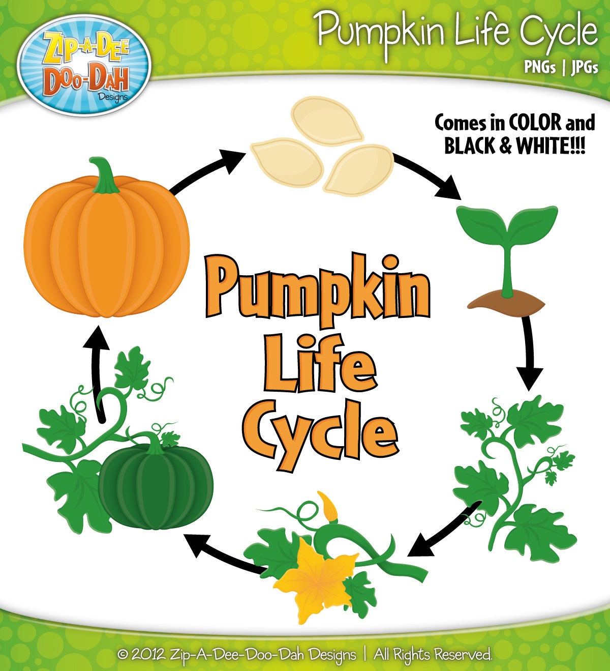plant life cycle clipart - photo #32