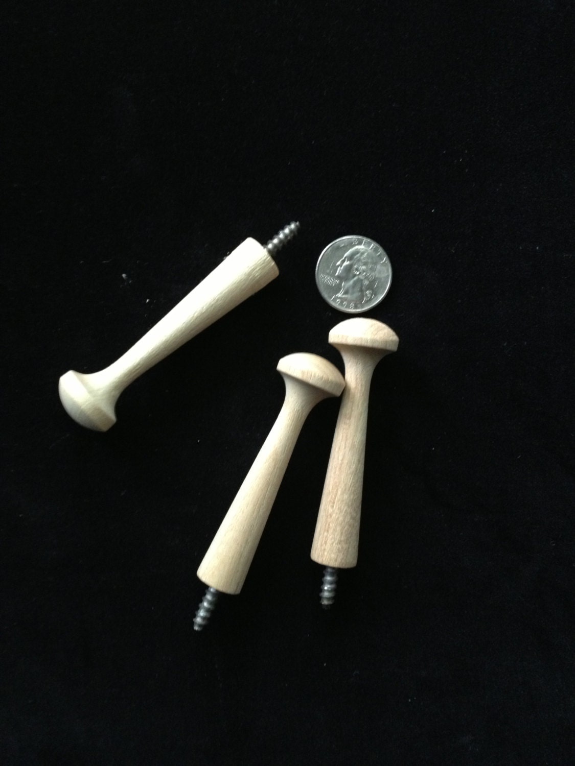 Screwin Shaker pegs 31/2 incl. screw 24 pieces by craftybonbon