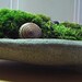 Zen Concrete Handmade Mini Moss Bowl Planter / Home Decor