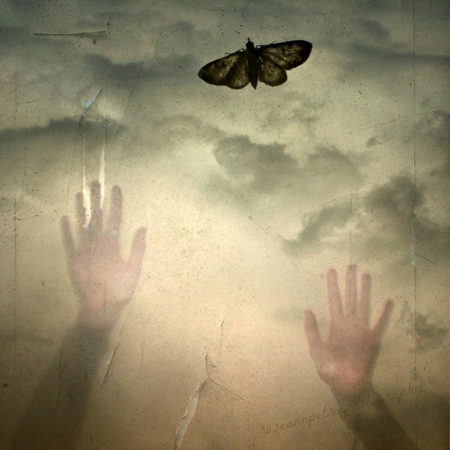 12x12"..Within Reach..Hands, Moth, Sky..Gold..Zen..Surreal..Ethereal..Spiritual..Emotive..Fine Art Photography