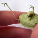 EcoEchoPaperProducts