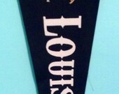 Vintage Felt Pennant Banner- Louisiana the Pelican State