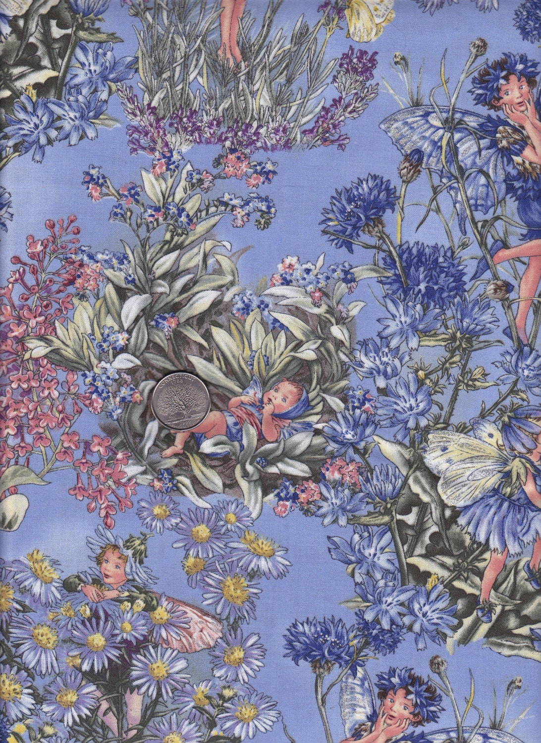 One yard - Flower Fairies - Periwinkle Fairies in periwinkle - Michael Miller cotton quilt fabric
