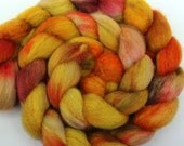 Parrotlet -- dyed BFL silk top / roving (4.1 oz.)
