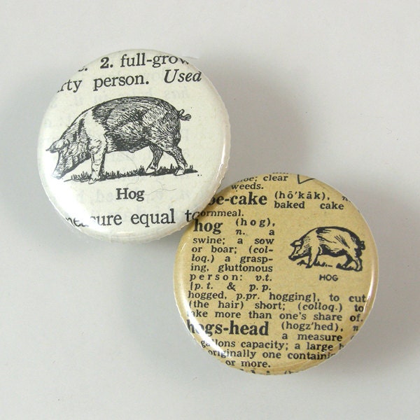 Hog Pinback Button Set