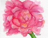 Original Pink Peony watercolor painting, 4.5 x 4