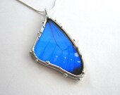 Butterfly Necklace - Real Blue Morpho