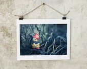 This Tree... Makes me happy... - Dwarf Elf Gnome Toy Photography 8x10 trees fall forest cute decor print wall art by aptrick