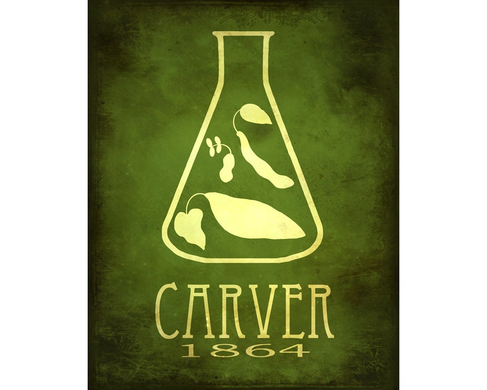 Science Poster 8x10, George Washington Carver Scientific Art Print, STEM Design, Agricultural Chemistry Food Art, Megan Lee Studio