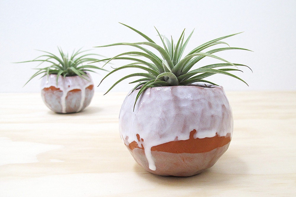 terracotta pinch pot planter - pale green and white drippy glaze - perfect for cuttings, succulent or cactus