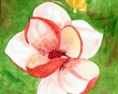 floral SFA watercolor MAGNOLIA original