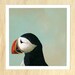 Nor'easters I Have Known And Narrowly Survived - bird 10 x 10 FINE ART PRINT