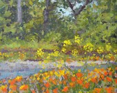 Mad River Poppies painting by Andrew Daniel
