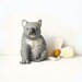 Vintage Koala Bear Porcelain Figurine Royal Heritage