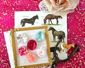 Texas,  handmade flowers, set of 6