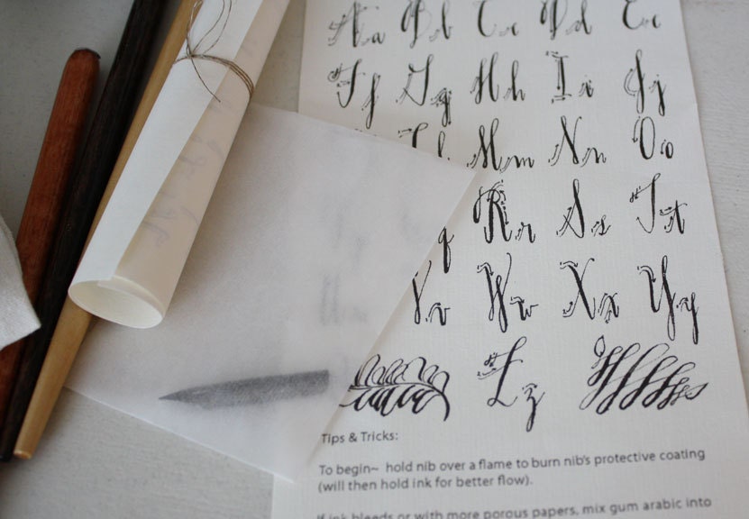 Calligraphy Starter Kit