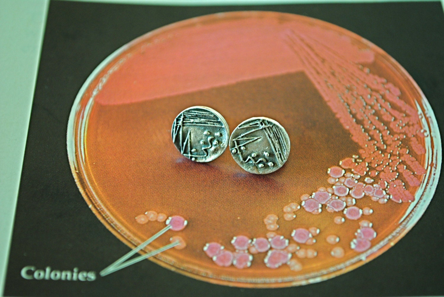 Perti Dish Stud Earrings
