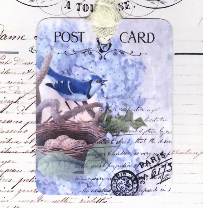 Gift Tags - Blue Jay and Nest - Hydrangeas - French - Scrapbook Supply