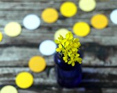 Yellow Wedding Decorations . 10 ft Paper Garland . Pastel Ombre Party Decor