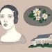 wild roses print