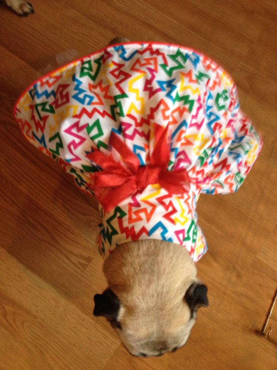 Pug or Small Dog Handmade Dress