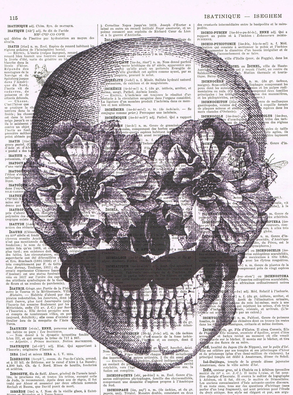 Moustache,Skull,flowers.skeleton head.Antique French Book Page Print. Flowers,beard.hipster. Gift,buy 3 get 1 free,home deco.mom.fathers day