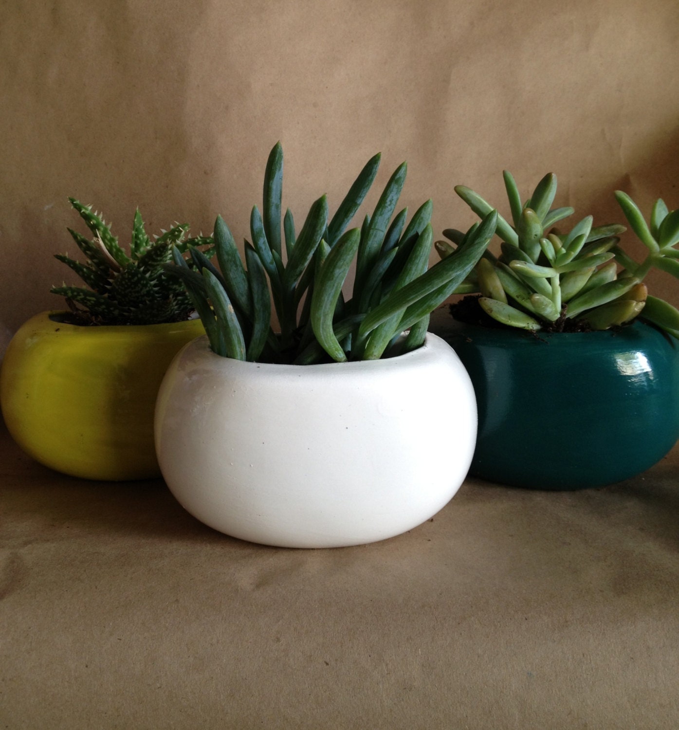 Modern wall or desktop planter