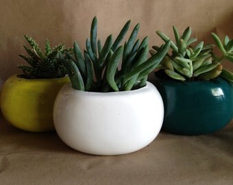 Containers & Planters