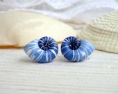 Post earrings - ombre blue shells - everyday women jewerly - gift idea - beach jewelry