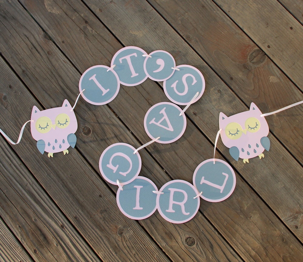 Owl Baby Shower Banner- Custom Colors Available