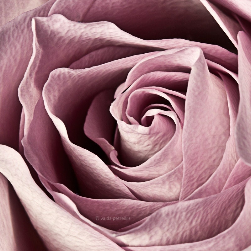 Romance - Original Signed Fine Art Photography Print 8x8 inches (20x20 cm)