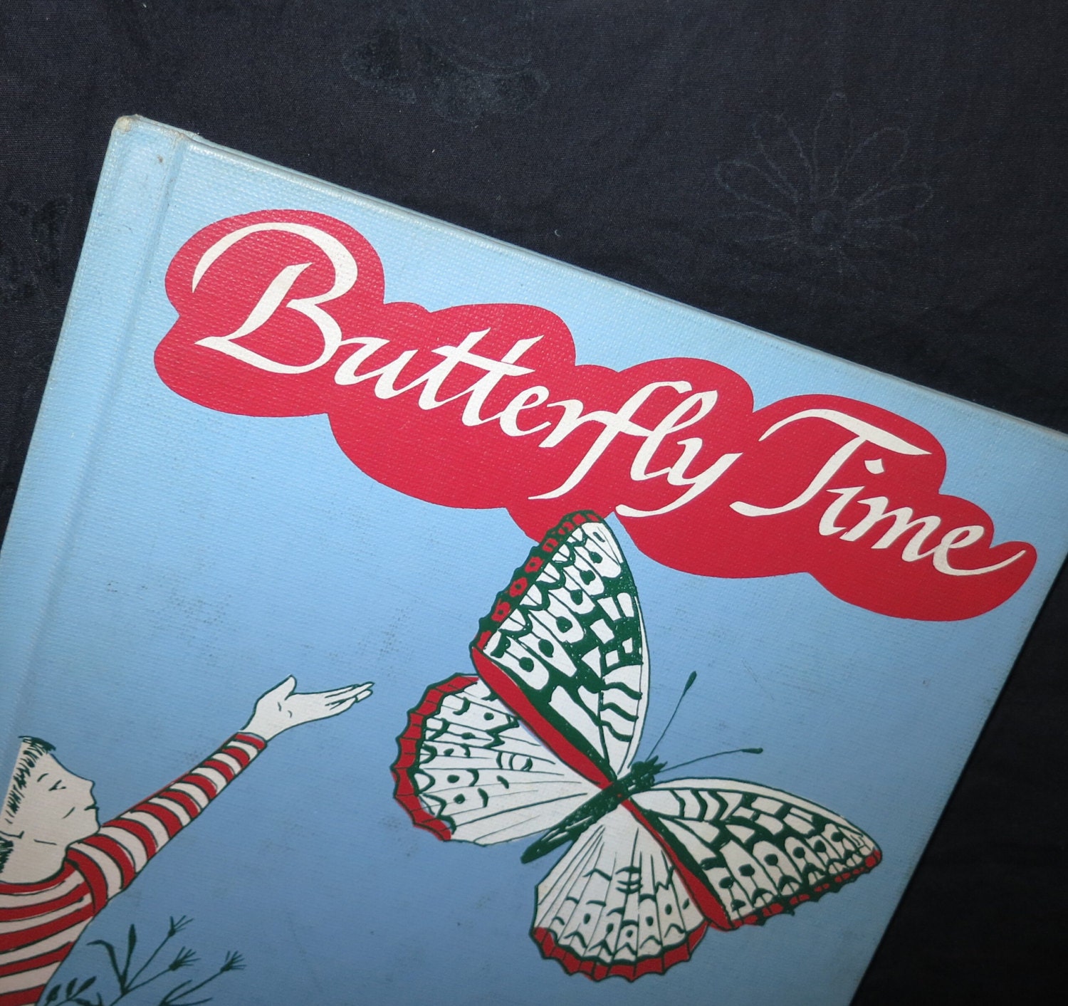 1964 Butterfly Time Children's Book