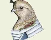 Lady Quail print 5x7