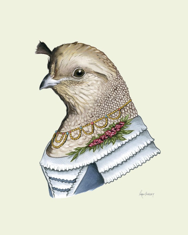 Lady Quail print 5x7