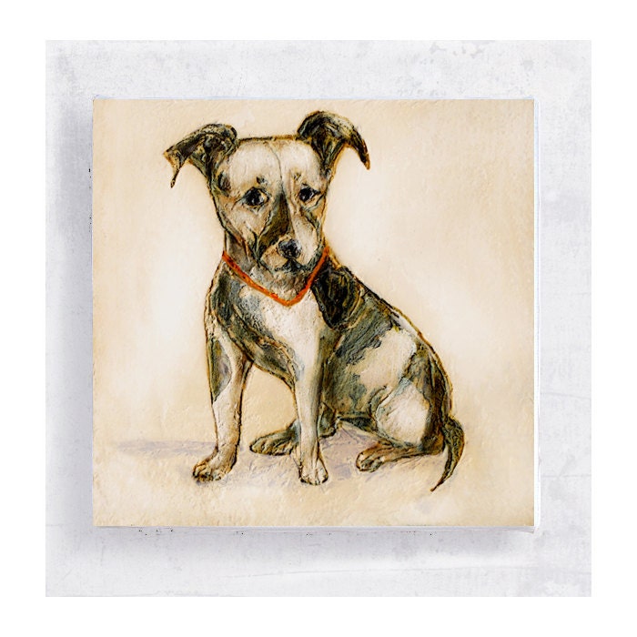 Jack Russell Terrier  - 5x5 Canvas Print  on Wood Frame - The  Wrapped Art  -  Animal Portrait -  Wall Art - Home Decor