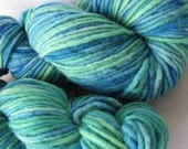 Carousel Worsted Aran Handdyed Yarn 100% Merino Single Color: Lake and Hills