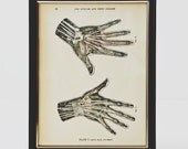 hands antique medical ephemera from the 1900s framed wall decor