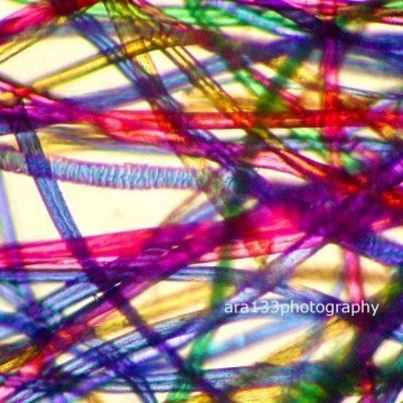 Science Geek Picture, Colorful Photography, Microscope Photo, Macro, Close-up of Yarn,  Still Life - 5x5 inch Print - Strands