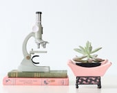 Retro Pink Planter by Miramar