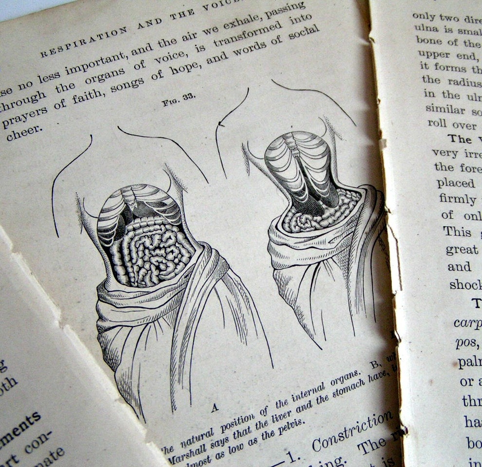 1889 Anatomical Images. 15 Pages