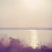 Landscape Photo, Shimmer, 8x8 Print, Sunset over Water, Michigan Lake, Quiet, Ethereal Nature Photography, Mauve, Purple