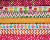 Girls like robots too. Funbots quilt or craft fabric bundle by Ann Kelle for Robert Kaufman- Yard Bundle, 7 total