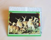 lazer eyez deer handmade card