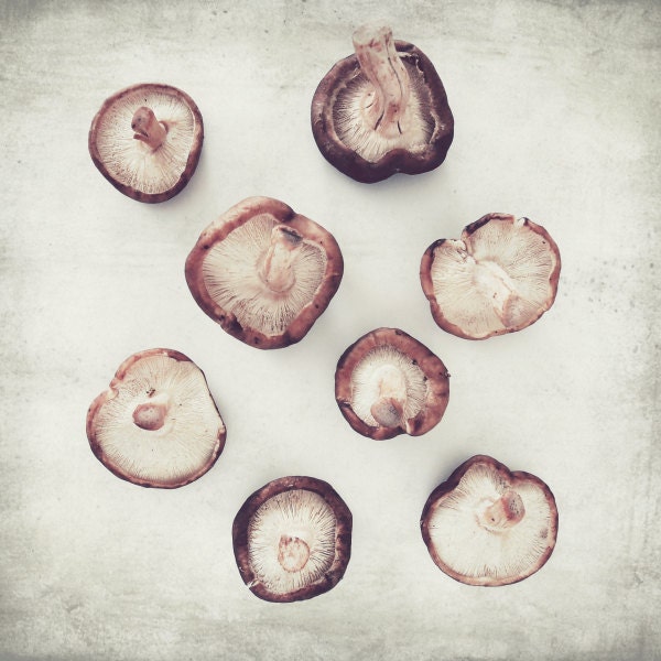 Food photography, still life photograph, rustic kitchen wall art, brown, beige, neutral, mushrooms, foodie, cooking photograph  8x8 Shiitake