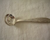 Little Stainless Steel Jelly Spoon
