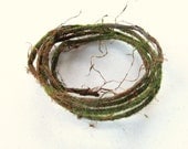 Moss Roping or Ribbon for Miniature Gardens, Floral and Crafts